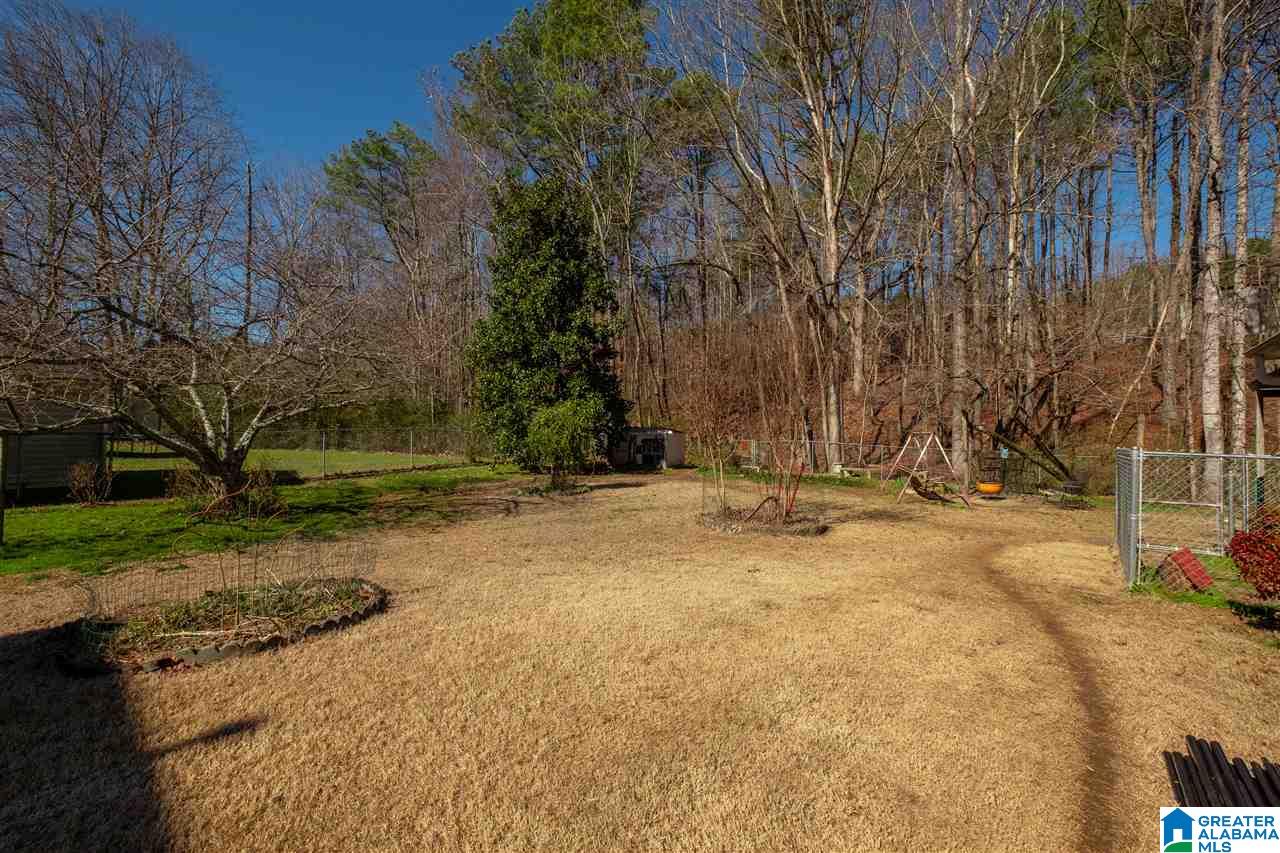 170 Lisa Lane Springville, AL 35146 - Photo 24 of 24