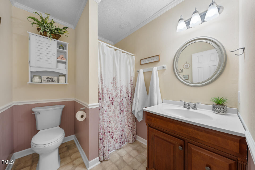 1008 Torredge Road Durham, NC 27712 - Photo 27 of 31 a bathroom with a toilet sink and mirror