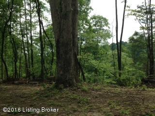 0 Dividing Ridge Road Breeding, KY 42715 - Photo 10 of 12 IMG_0559