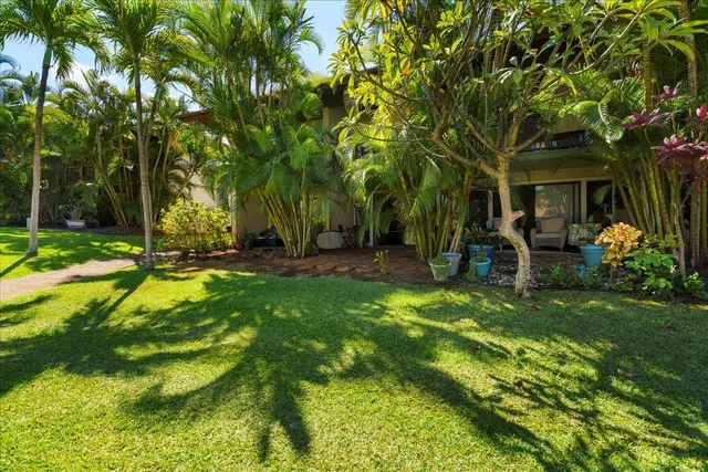 a view of a backyard with table and chairs and potted plants and large trees