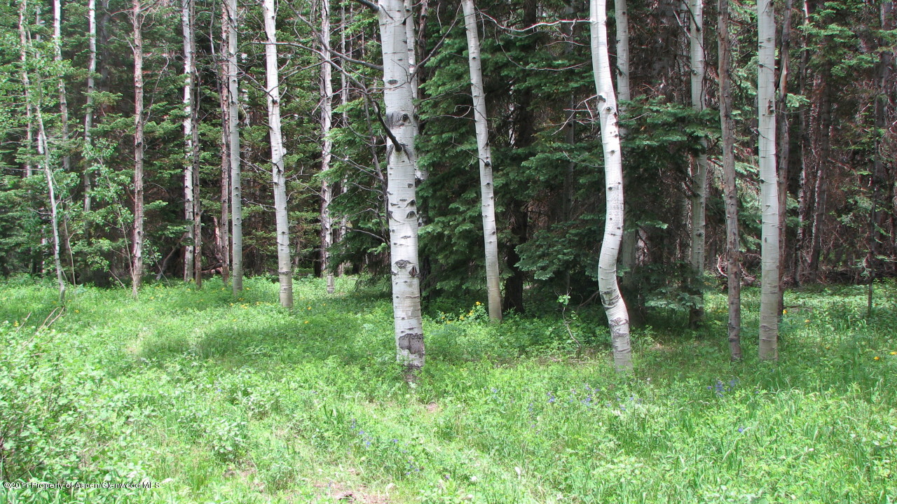 2070 Grackle Road Craig, CO 81625 - Photo 1 of 2 Lot 184