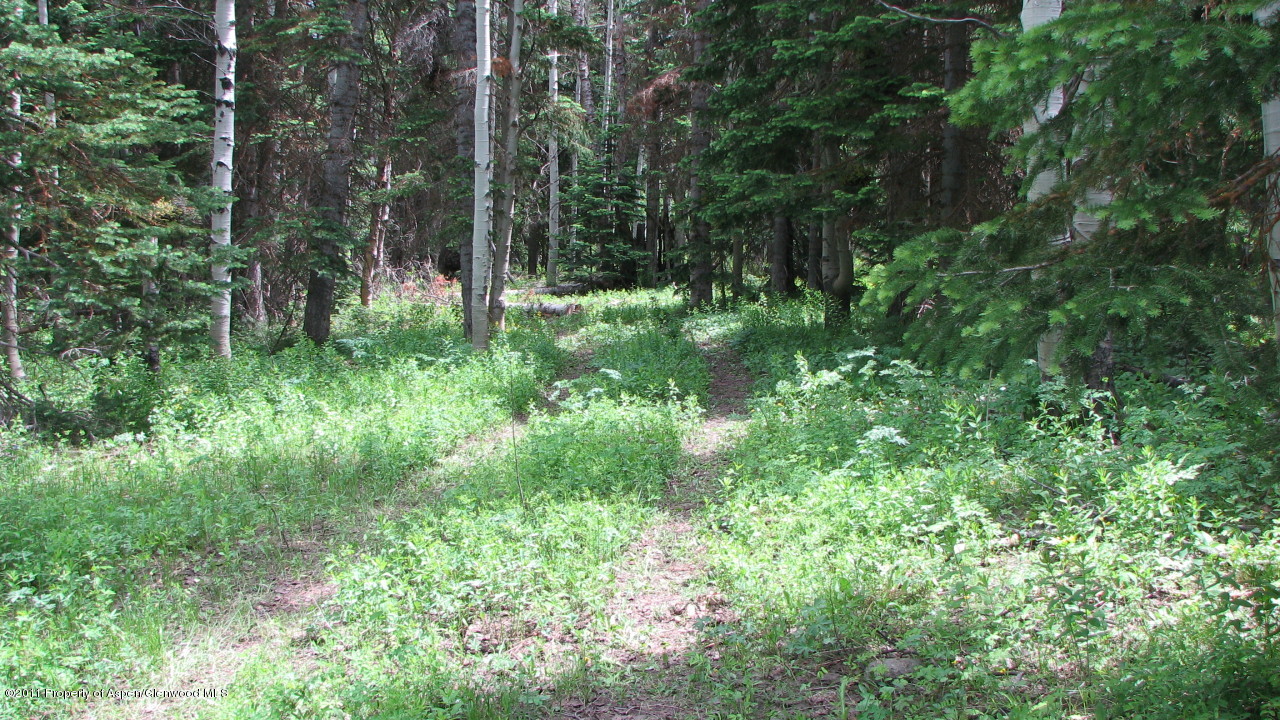 2070 Grackle Road Craig, CO 81625 - Photo 2 of 2 Driveway