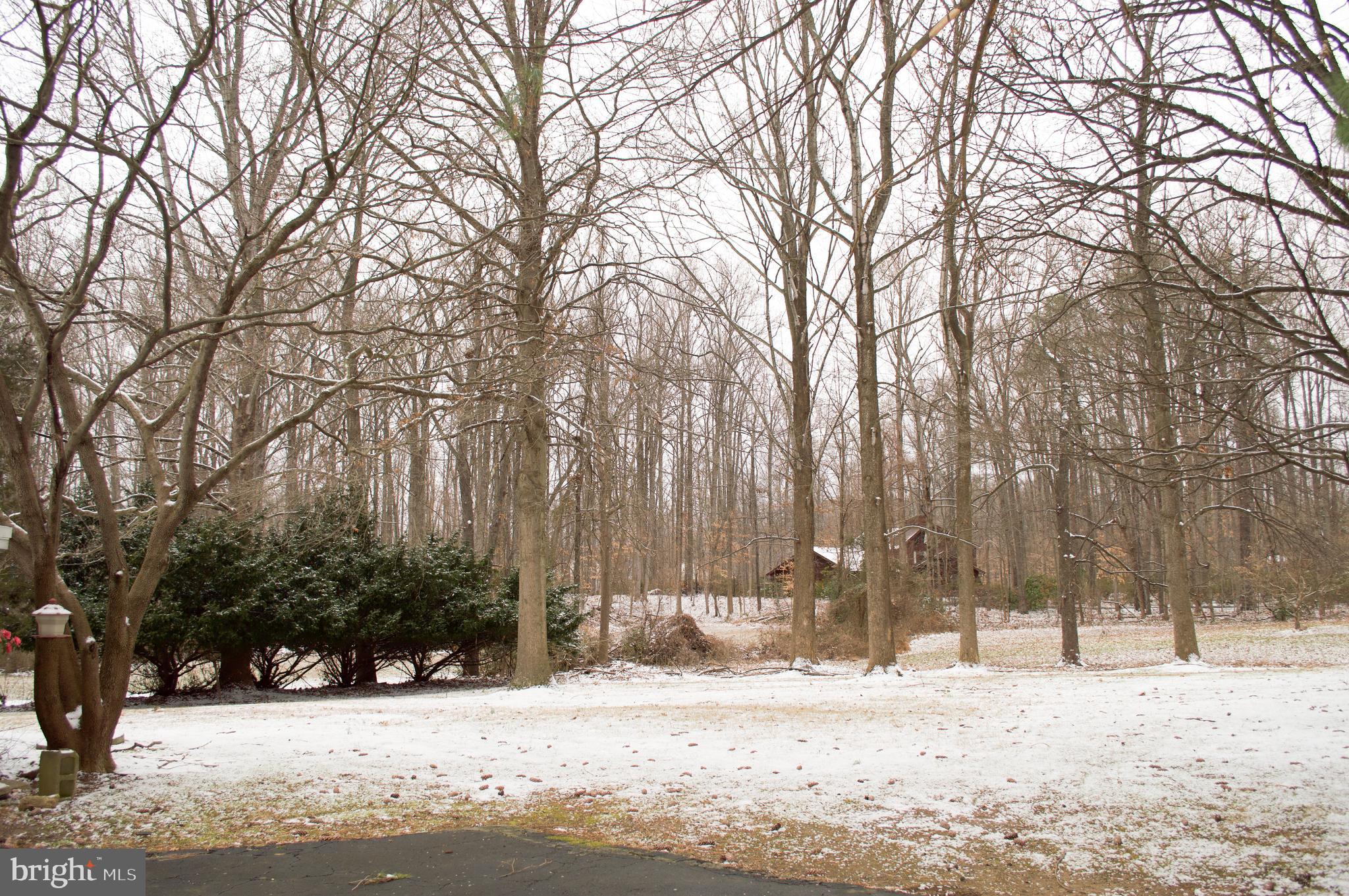 6333 Hillside Road, Unit 1 Springfield, VA 22152 - Photo 7 of 36