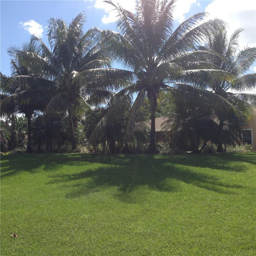 4740 Southwest 134th Avenue Southwest Ranches, FL 33330 - Photo 31 of 32 Photo 31
