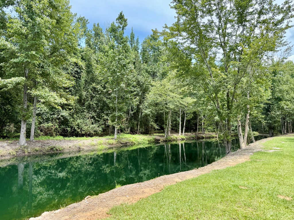 1640 Lafollette Road Slocomb, AL 36375 - Photo 18 of 64