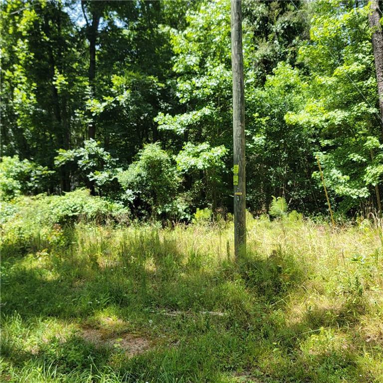 0 Spring Hill Drive Covington, GA 30016 - Photo 3 of 6 a view of lake view