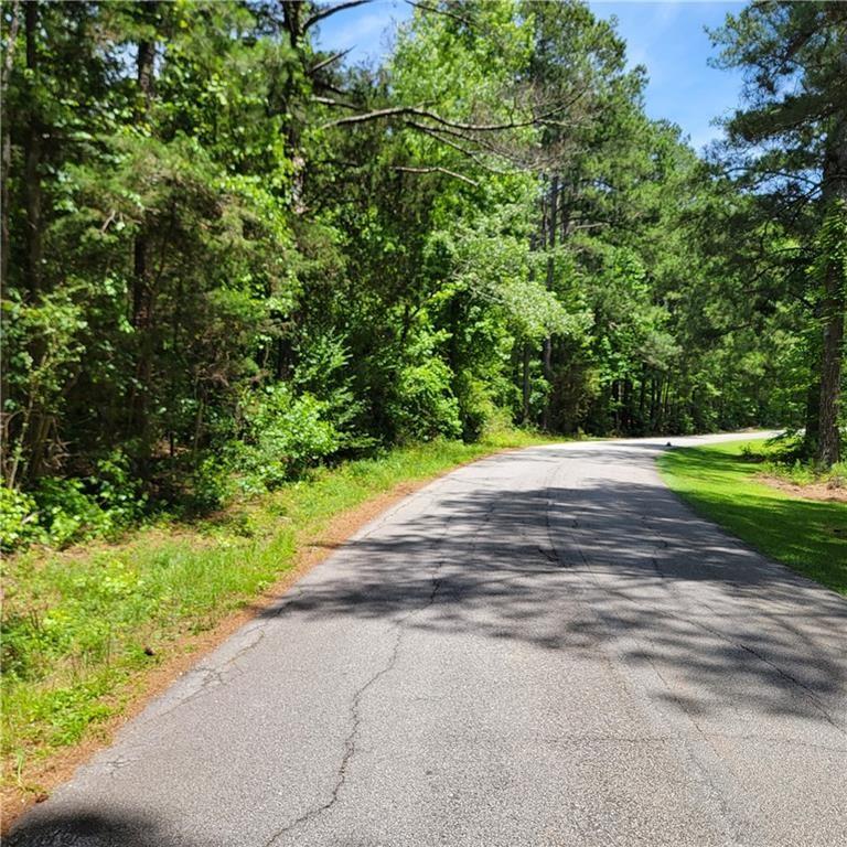 0 Spring Hill Drive Covington, GA 30016 - Photo 4 of 6 a view of a garden with a pathway