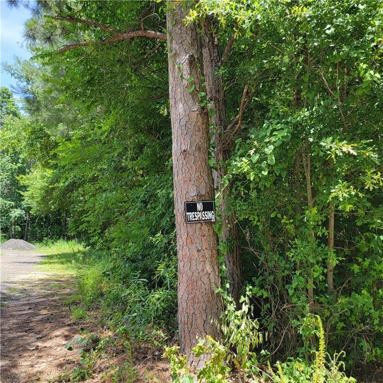 0 Spring Hill Drive Covington, GA 30016 - Photo 6 of 6 a view of outdoor space and garden