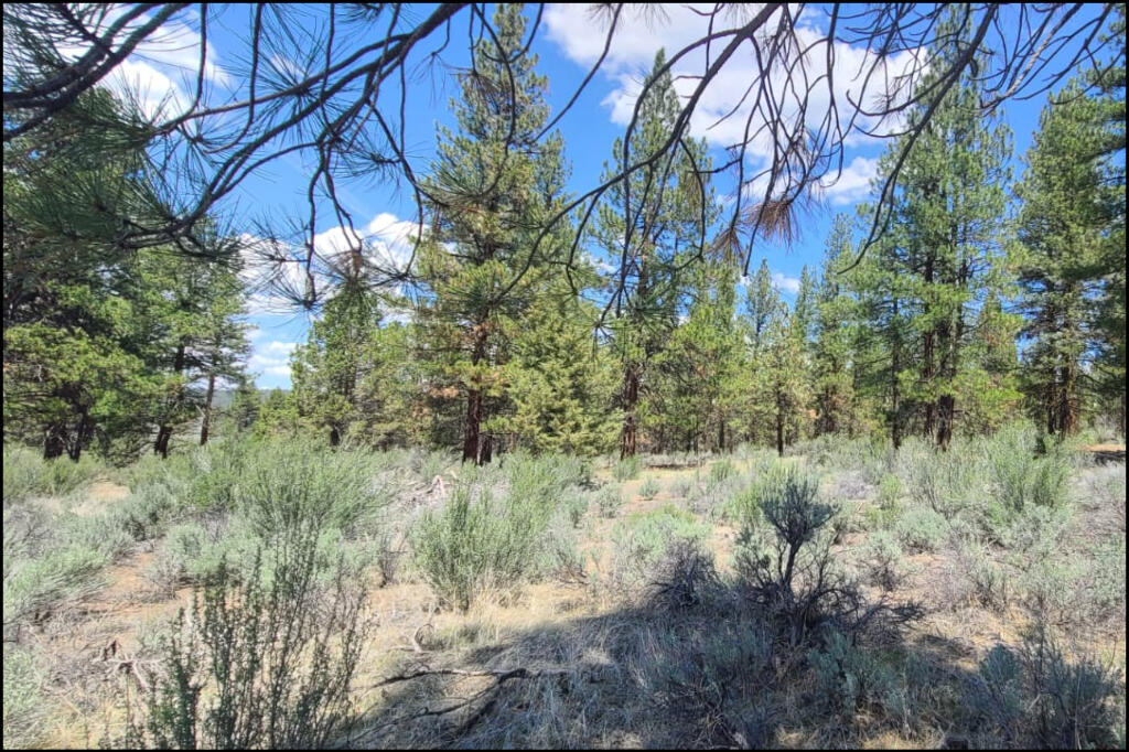 288110 Tableland Road Chiloquin, OR 97624 - Photo 7 of 24 05