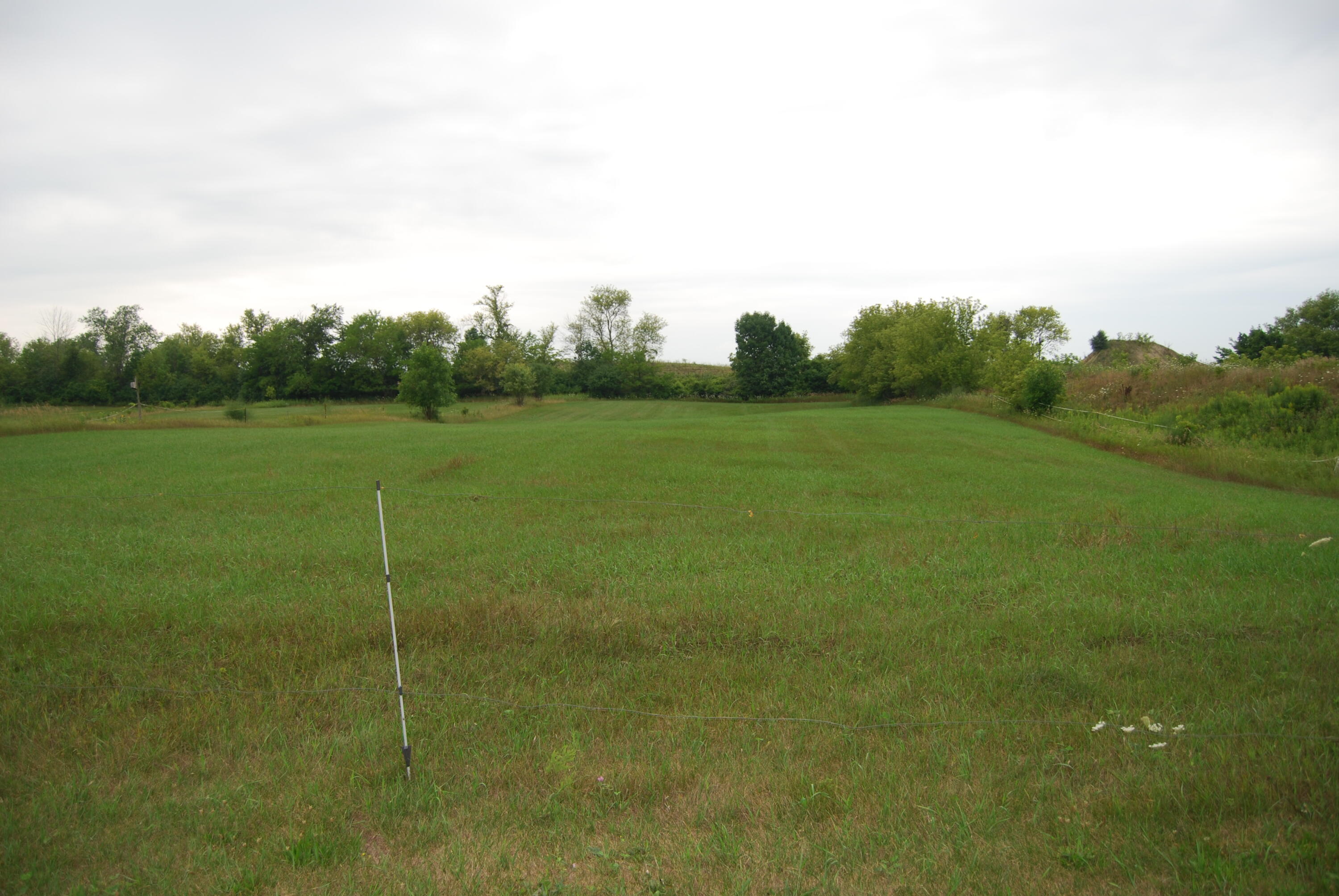 N2640 Bates Road Lyndon, WI 53011 - Photo 29 of 30 Fenced pastures 5