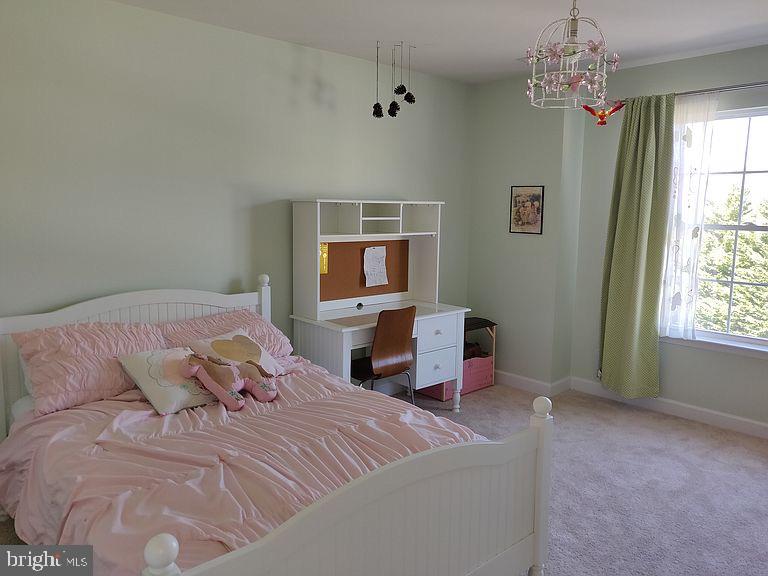 4023 Brummel Road Pasadena, MD 21122 - Photo 40 of 56