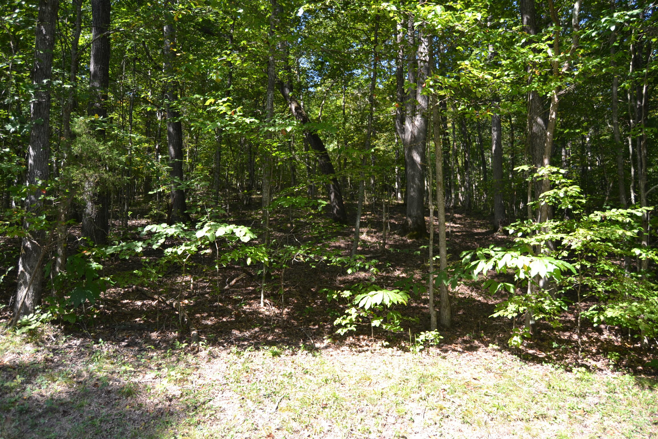 2 Rolling Mill Road Eddyville, KY 42038 - Photo 4 of 6 DSC_0074