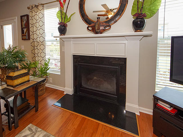 315 Silverleaf Lane Moncks Corner, SC 29461 - Photo 9 of 47 09