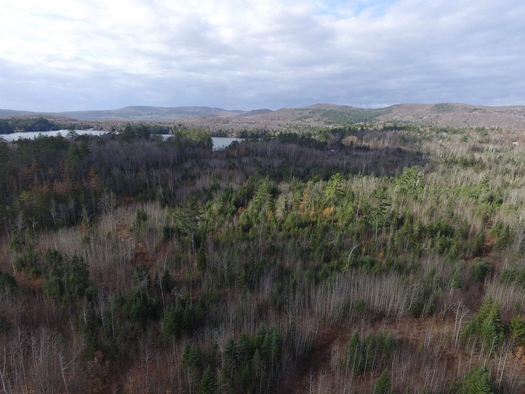 0 Forest Lake Road Bethlehem, NH 03574 - Photo 5 of 16 Gallery Image 5