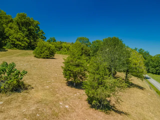 a view of a large yard with lots of green space