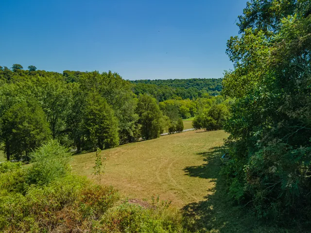 a view of a yard with a tree