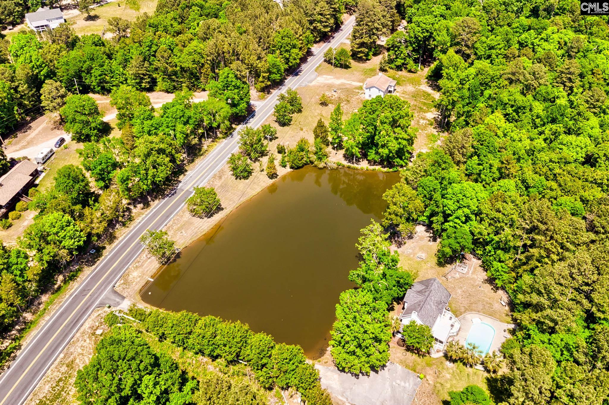 1133 Old Hilton Road Chapin, SC 29036 - Photo 46 of 50