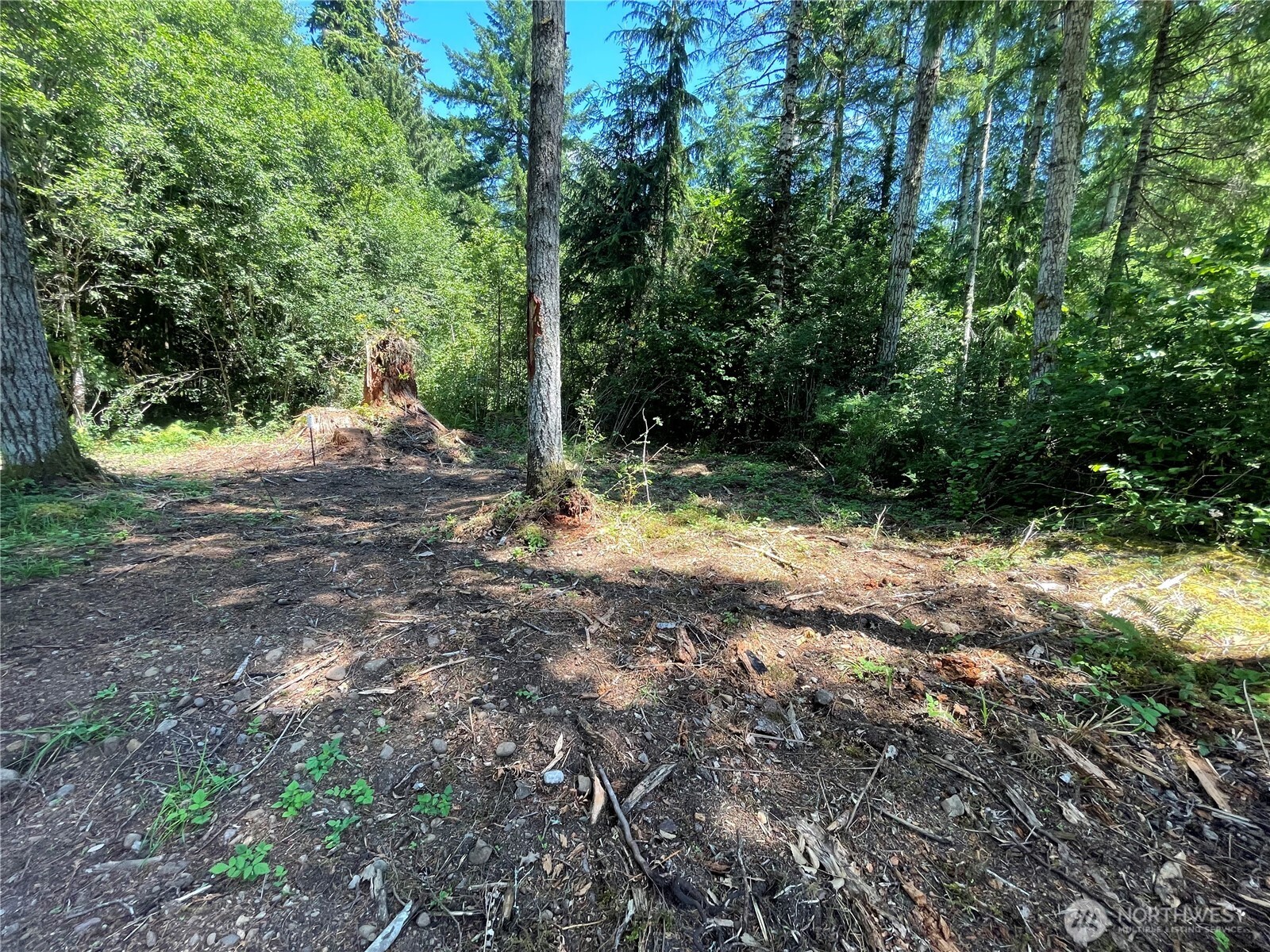 -xx Lynch Road McCleary, WA 98557 - Photo 7 of 10