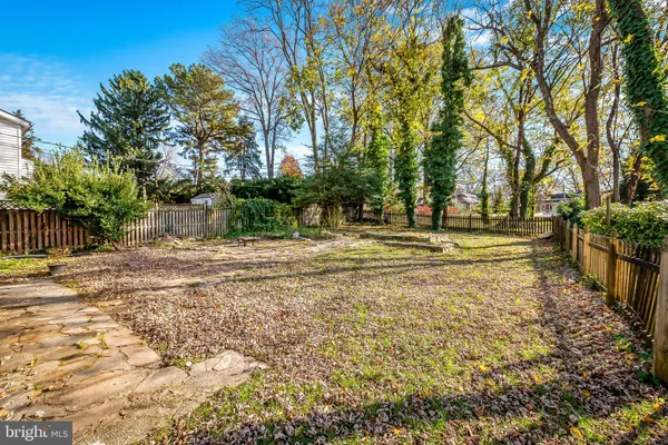 a view of a yard with trees