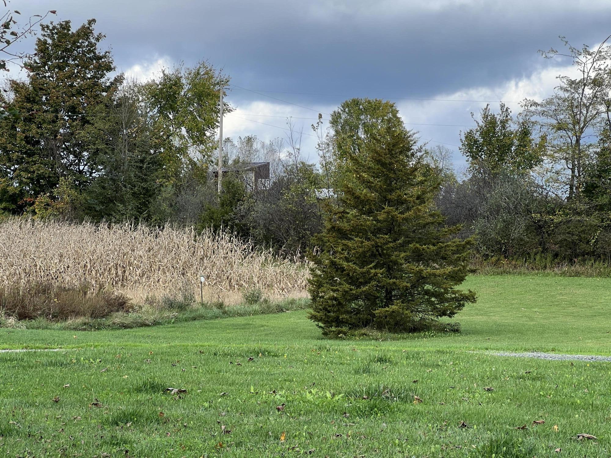 4481 Camden Road Osseo, MI 49266 - Photo 27 of 45 B3294DF1-FBA3-4348-A230-7BB754A92A64