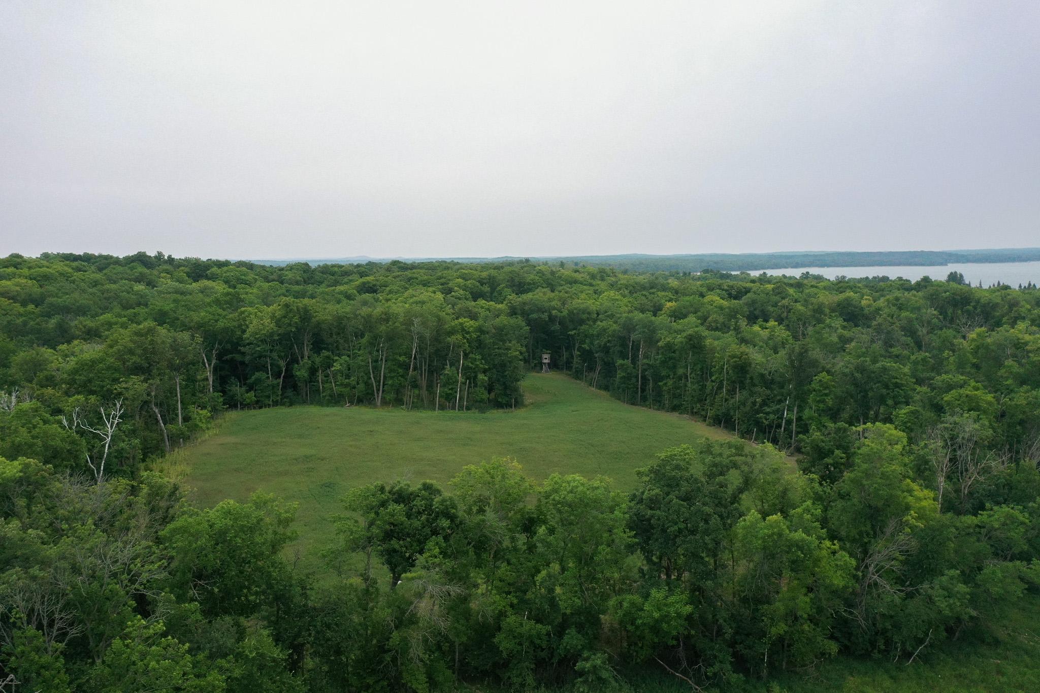 Tbd North Cotton Lake Road Rochert, MN 56578 - Photo 12 of 31 Gallery Image 12