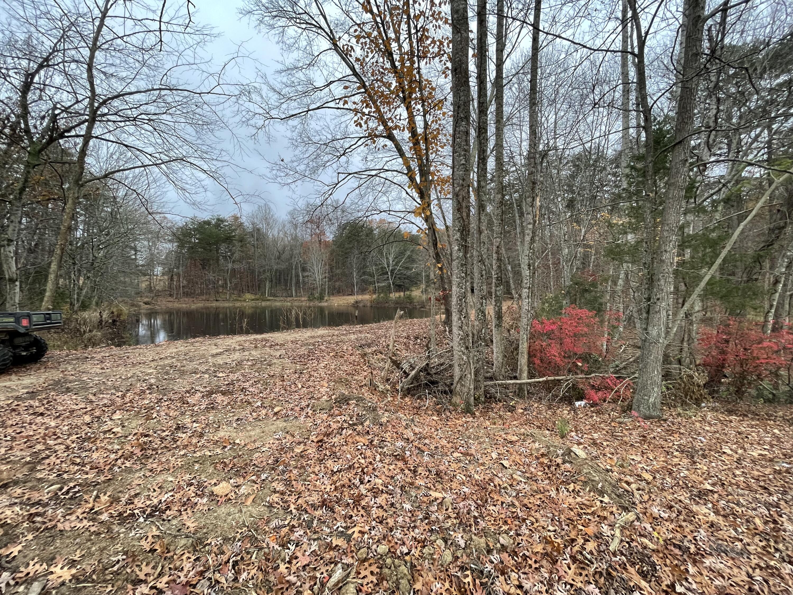 9154 Dickerson Mill Road Moneta, VA 24121 - Photo 1 of 20 IMG_9259