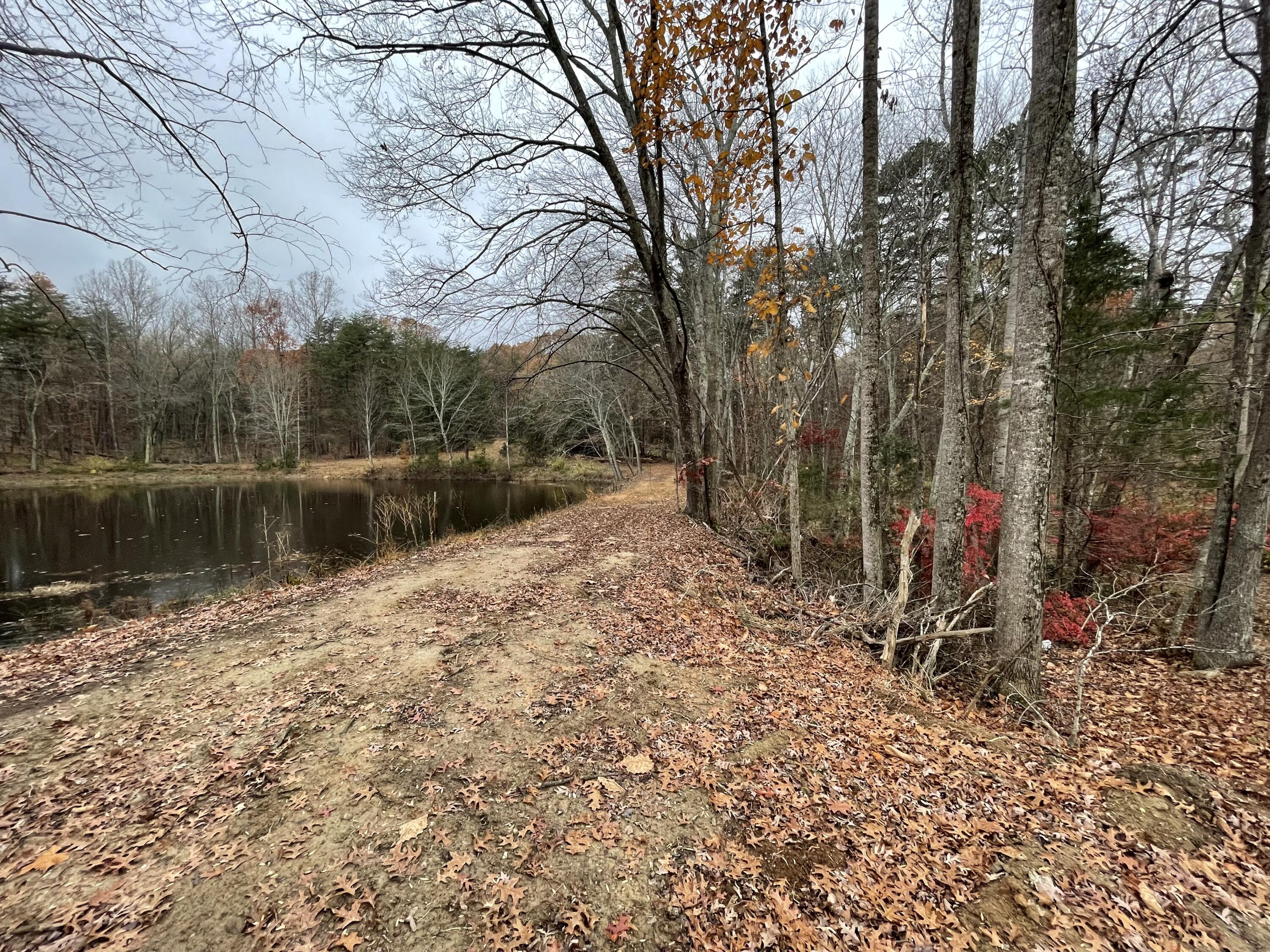 9154 Dickerson Mill Road Moneta, VA 24121 - Photo 12 of 20 IMG_9257