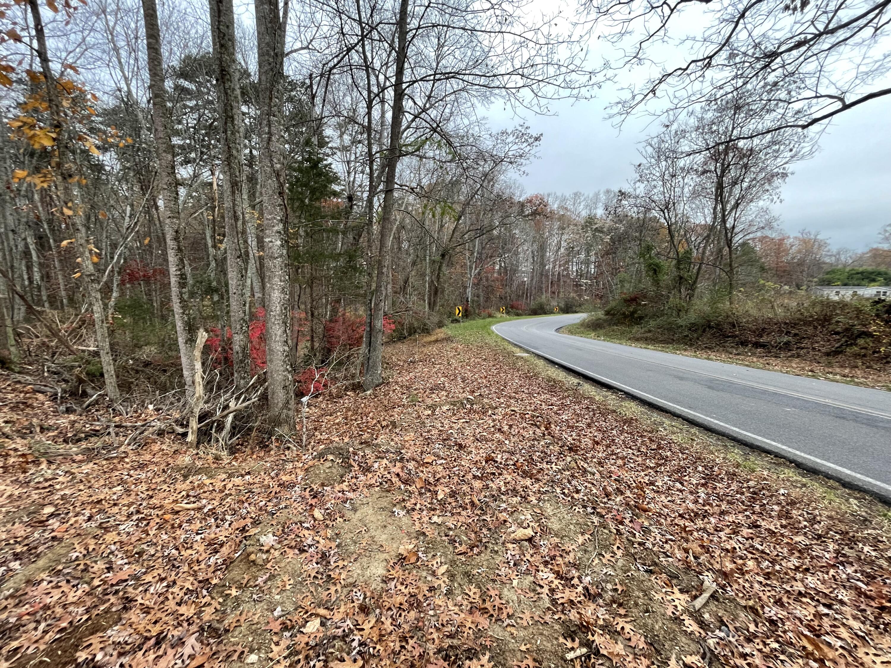 9154 Dickerson Mill Road Moneta, VA 24121 - Photo 16 of 20 IMG_9258