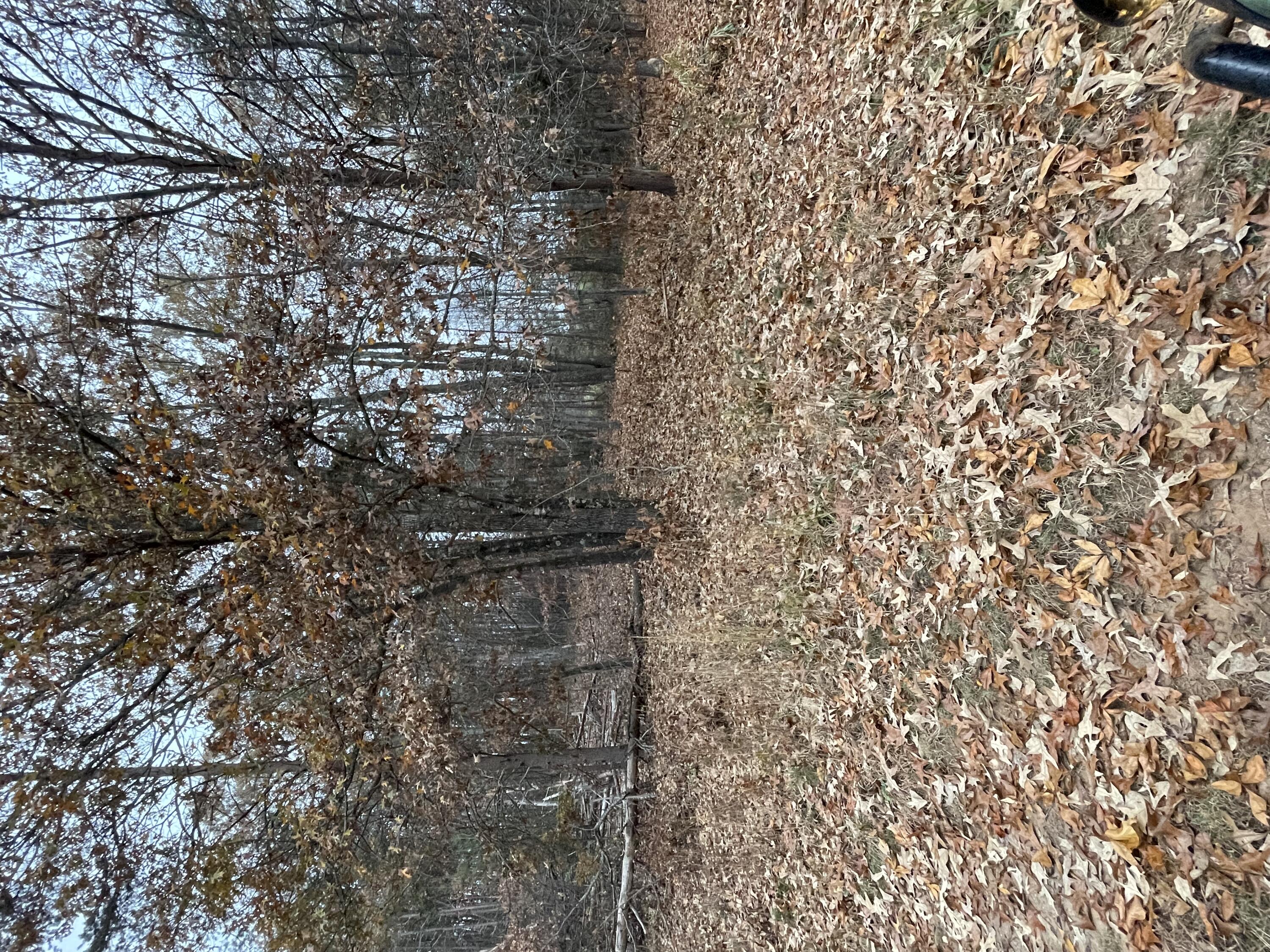 9154 Dickerson Mill Road Moneta, VA 24121 - Photo 2 of 20 img r