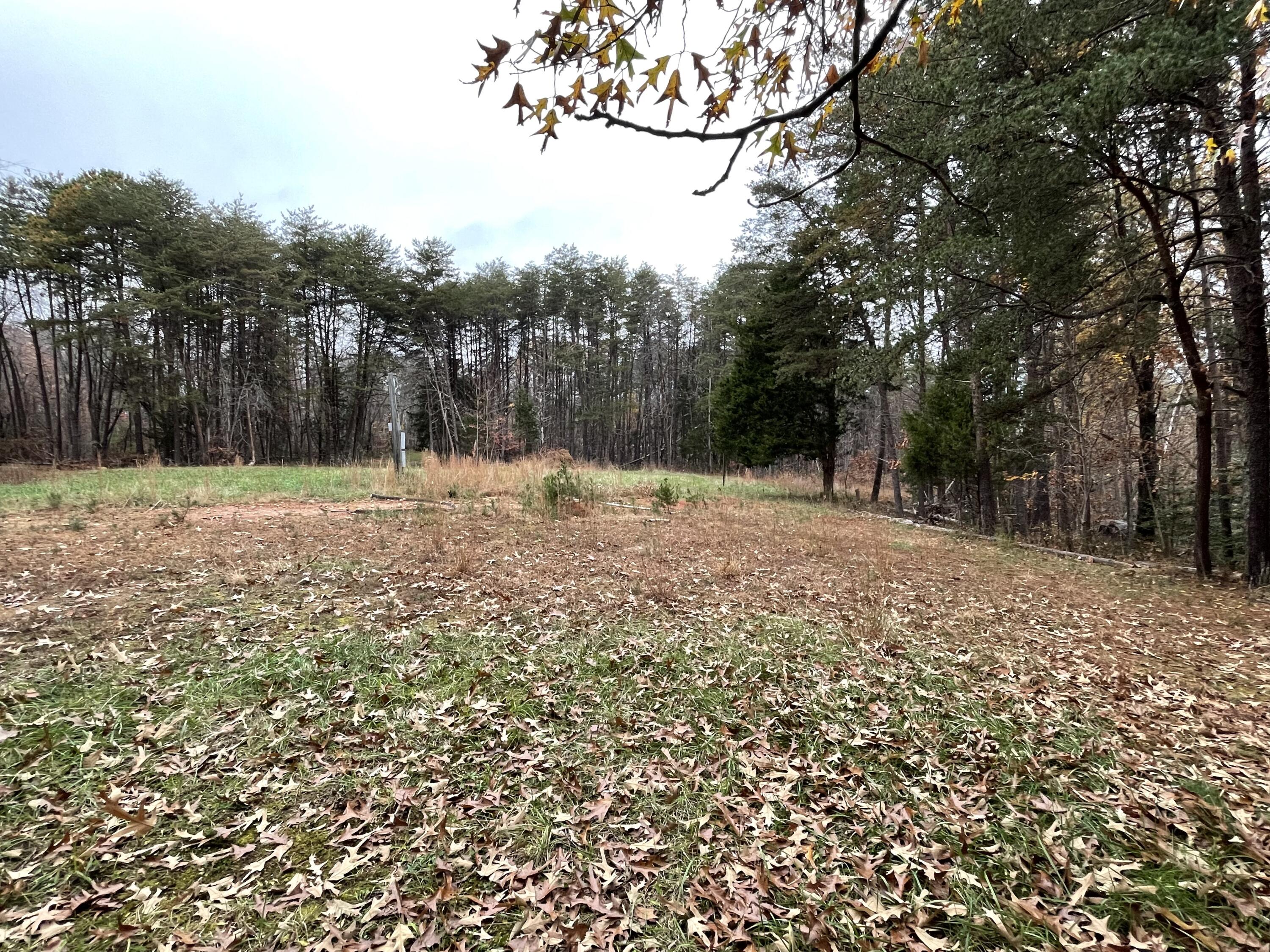 9154 Dickerson Mill Road Moneta, VA 24121 - Photo 10 of 20 IMG_9252