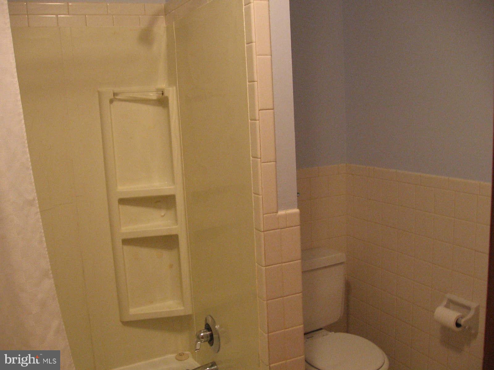 1233 Rest Church Road Clear Brook, VA 22624 - Photo 14 of 25 Bath