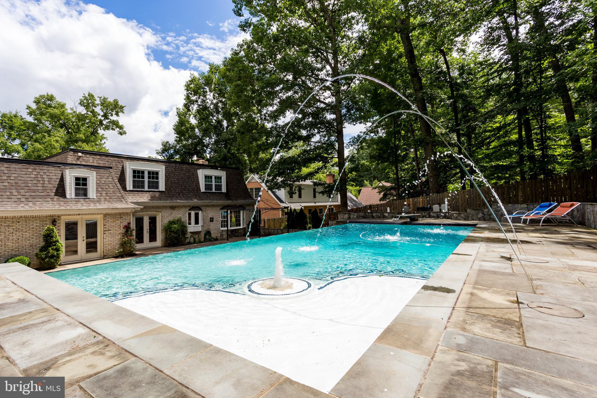 18520 Cabin Road Triangle, VA 22172 - Photo 33 of 39 Tanning ledge with walk in stairs to pool