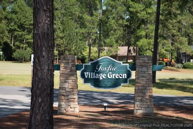 a view of a street with a tree