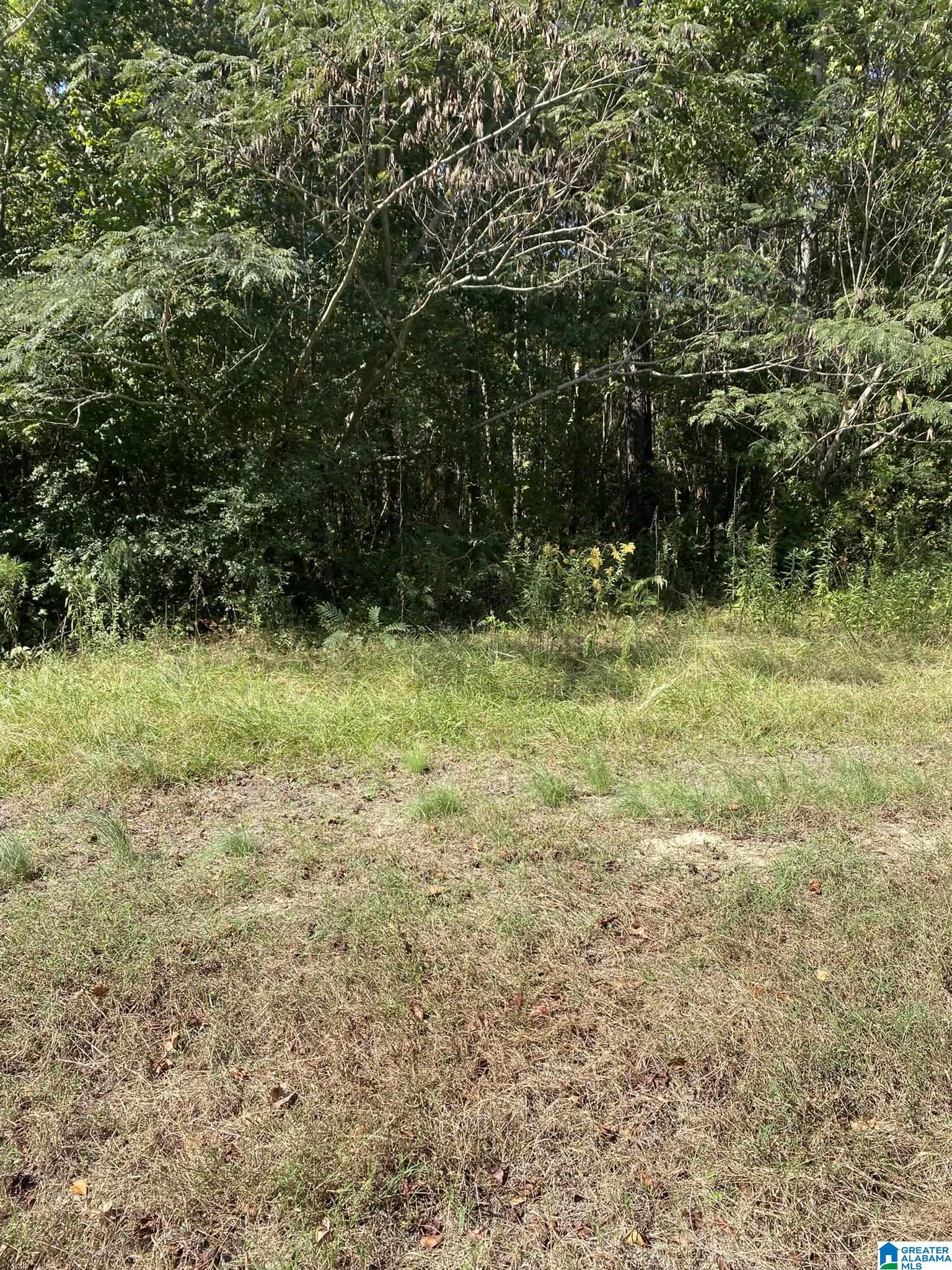 77 Armstrong Road, Unit 1 Ashville, AL 35953 - Photo 6 of 8