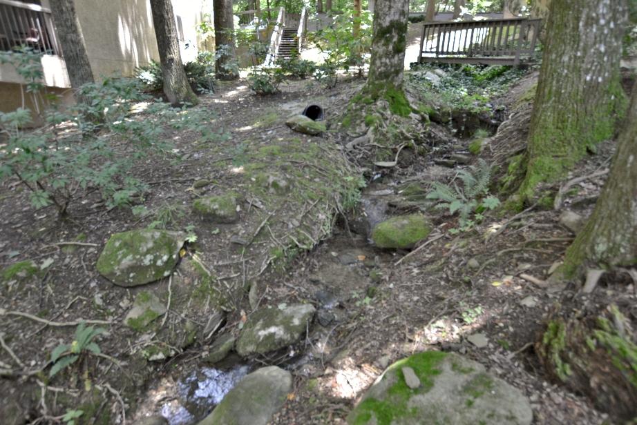 1235 Ski Mountain Road, Unit 625 Gatlinburg, TN 37738 - Photo 24 of 26 C