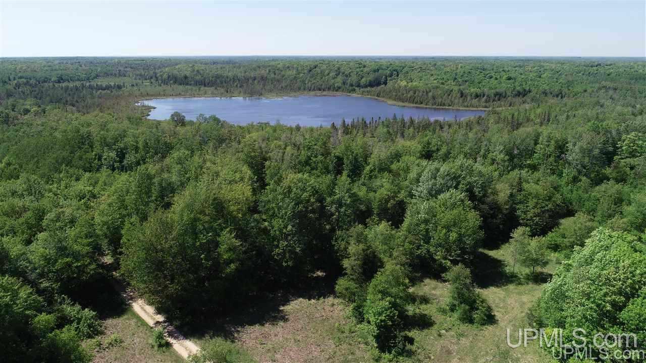 Tbd Tee Lake Road, Unit PARCEL 4 Germfask, MI 49836 - Photo 2 of 3