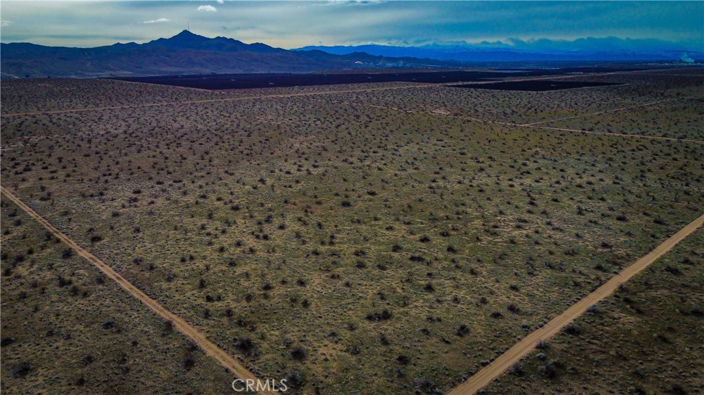 a view of a dry yard