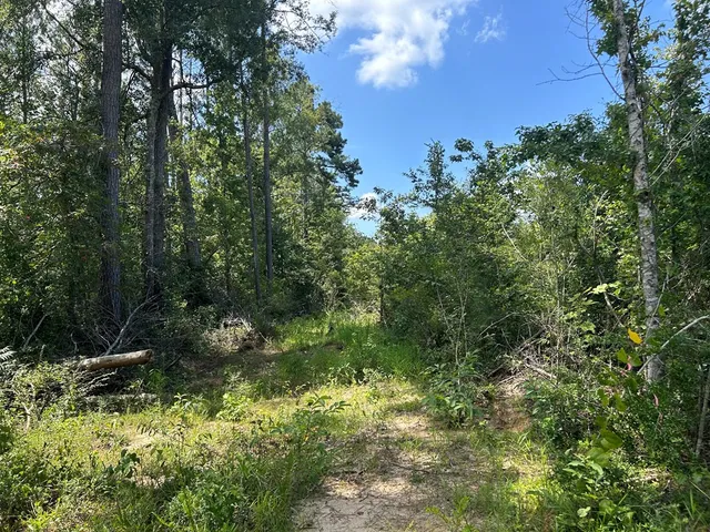 $93,720 | 570 Summit Ms 39666, Ruth, MS 39662