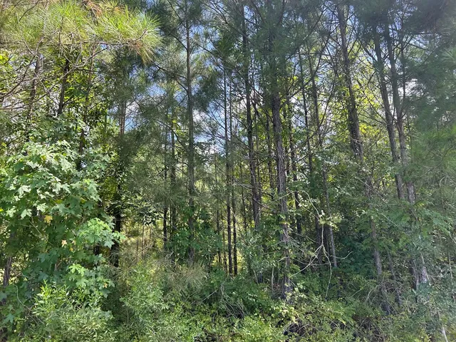 $93,720 | 570 Summit Ms 39666, Ruth, MS 39662