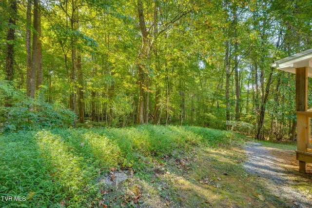 $519,000 | 124 V I P Road, Johnson City, TN 37601