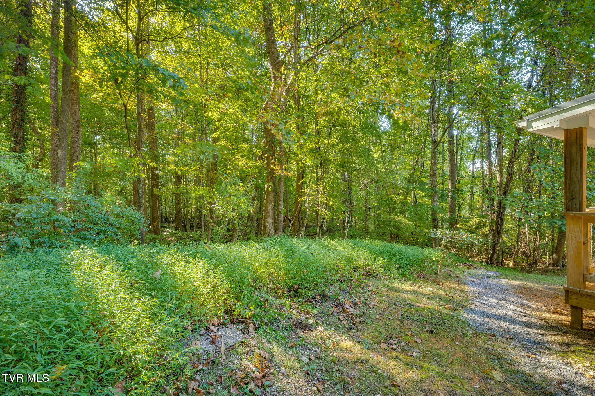 124 V I P Road Johnson City, TN 37601 - Photo 39 of 40 039