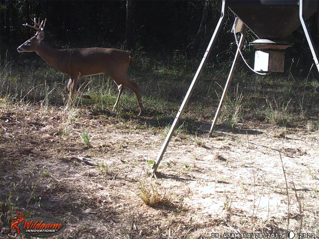 139 Northwest County Road, Unit 1061 Talco, TX 75487 - Photo 39 of 39 a backyard of a house