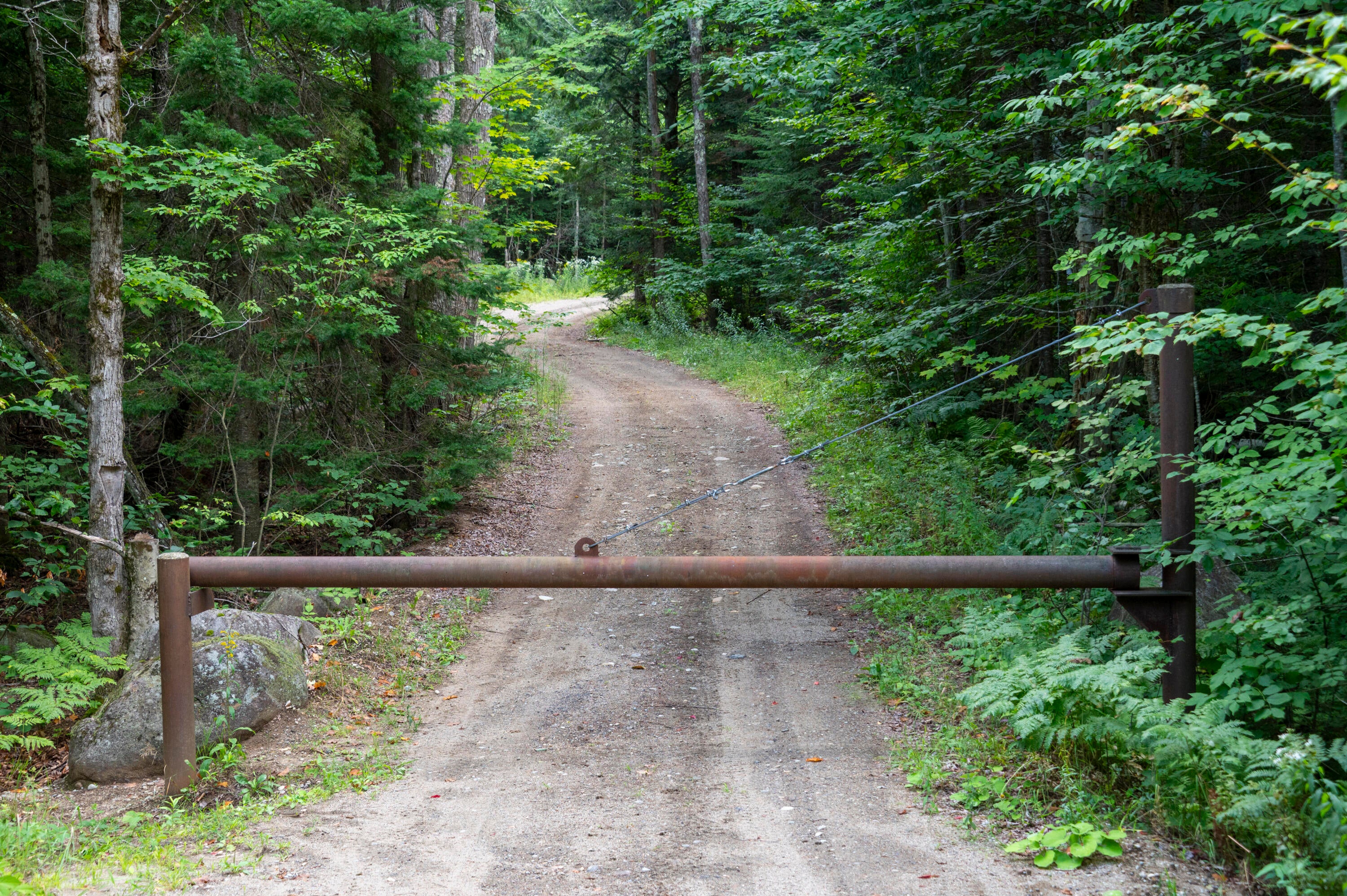 0 Henry Wescott Road Warrensburg, NY 12885 - Photo 13 of 14 Gallery Image 13
