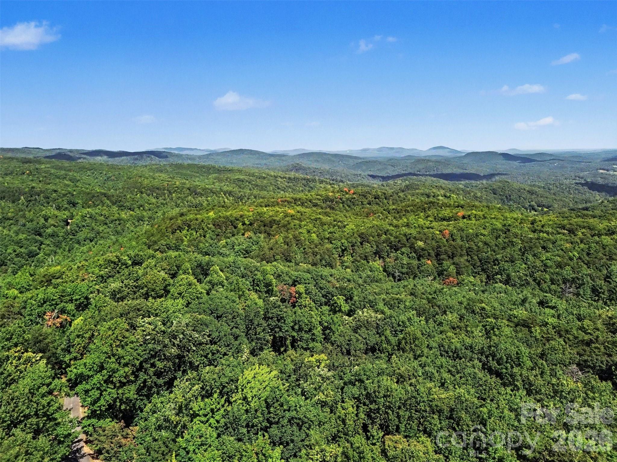 8876 Tallow Tree Road Connelly Springs, NC 28612 - Photo 38 of 39 Gallery Image 38