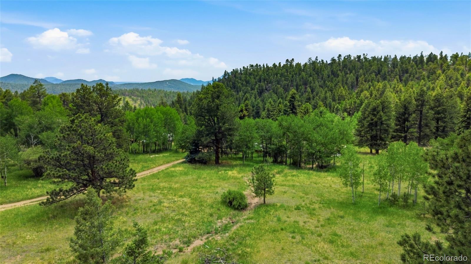 31280 Florence Road Conifer, CO 80433 - Photo 47 of 48 a big yard with lots of green space
