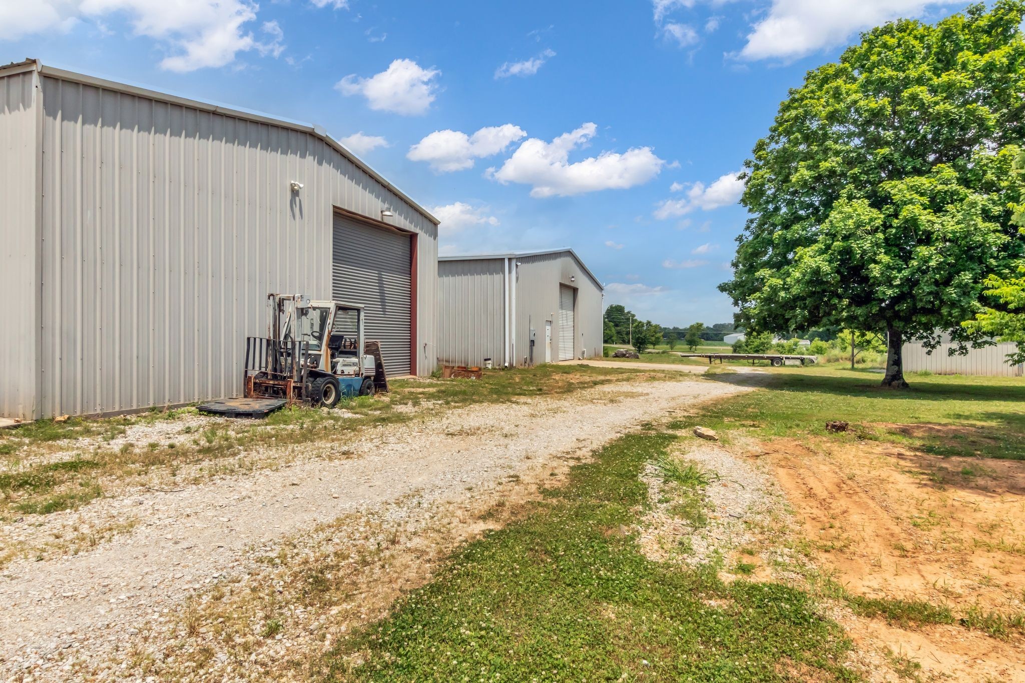 184 Buncombe Road Belvidere, TN 37306 - Photo 3 of 17 a view of backyard of the house