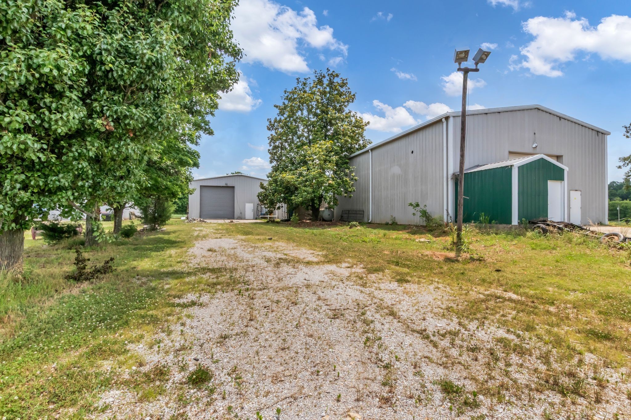 184 Buncombe Road Belvidere, TN 37306 - Photo 7 of 17 a view of a house with backyard and tree