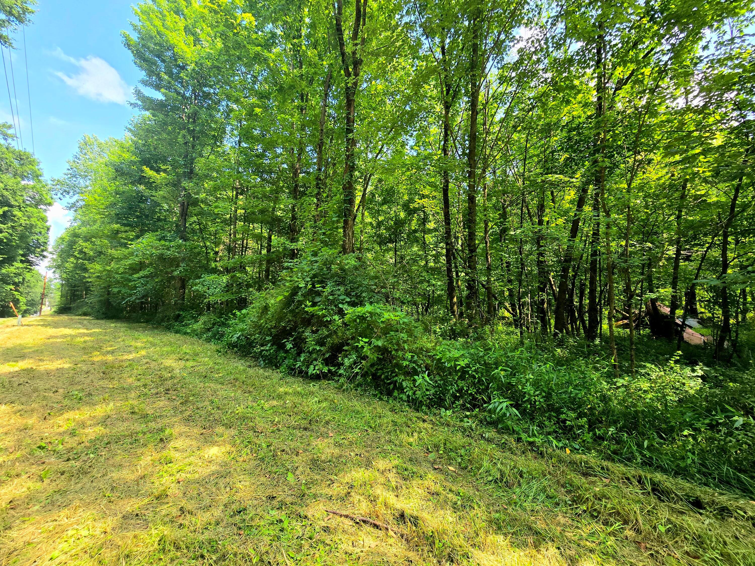 9026-1 Gregg Road Fredericktown, OH 43019 - Photo 4 of 16 1000062273