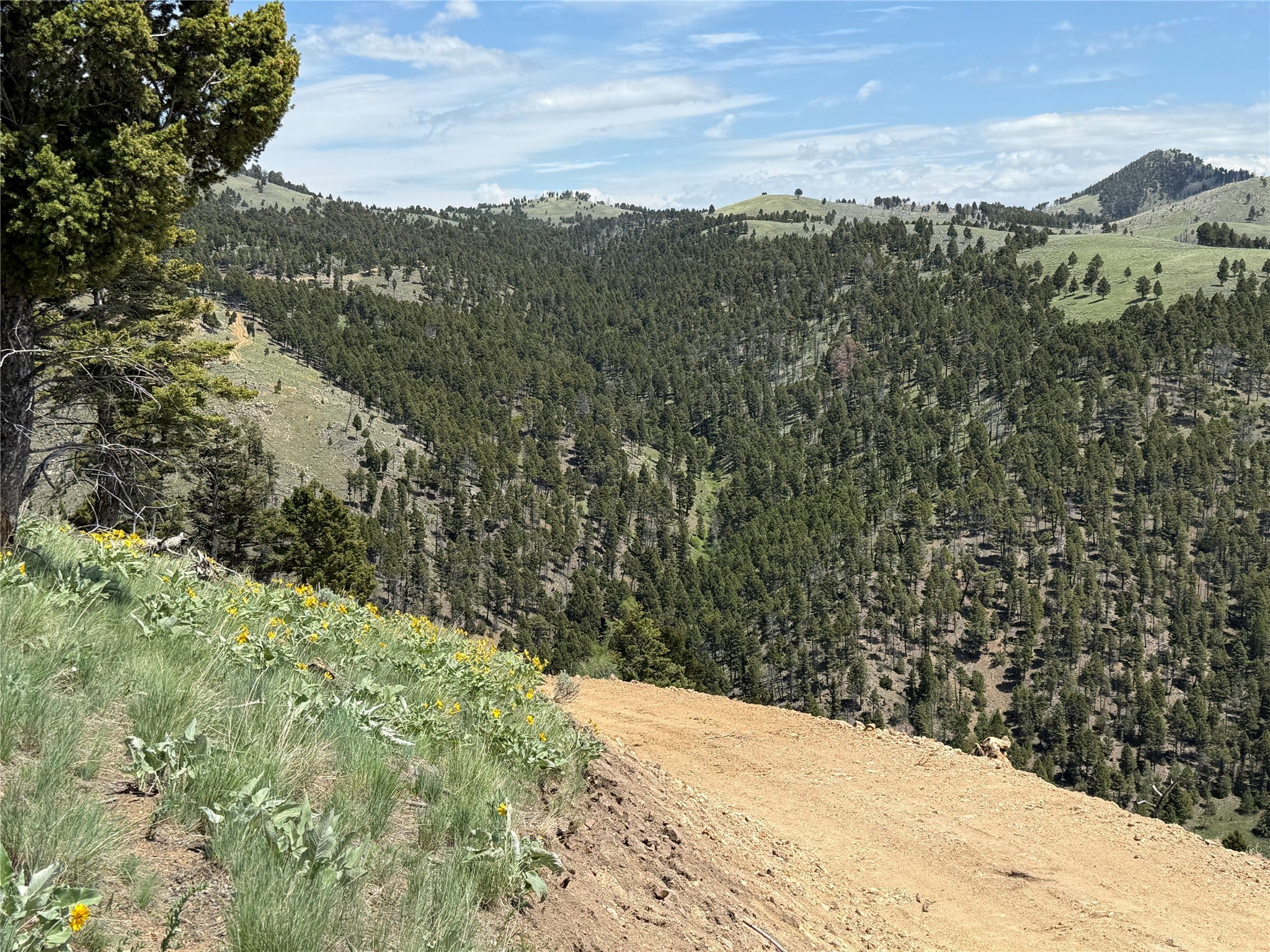 Tbd (40.1-ac) Tbd (40.1-ac) High Ore Road Boulder, MT 59632 - Photo 60 of 62 Gallery Image 60