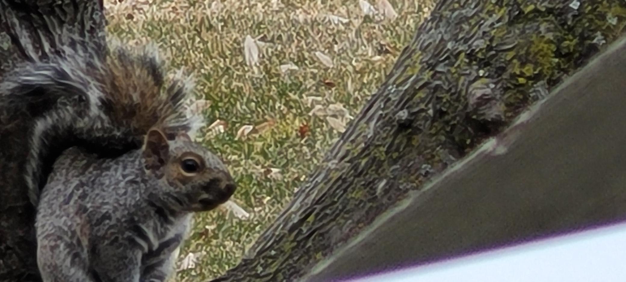 1301 McKusick Rd Lane North Stillwater, MN 55082 - Photo 33 of 39